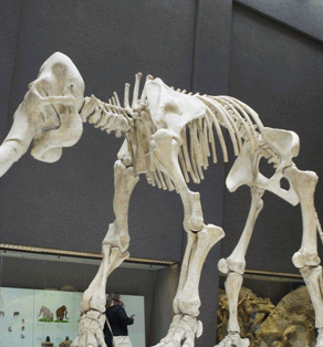 Explore human body.